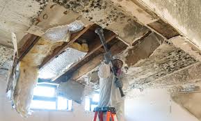 Best Residential Mold Inspection & Testing  in Ben Avon, PA